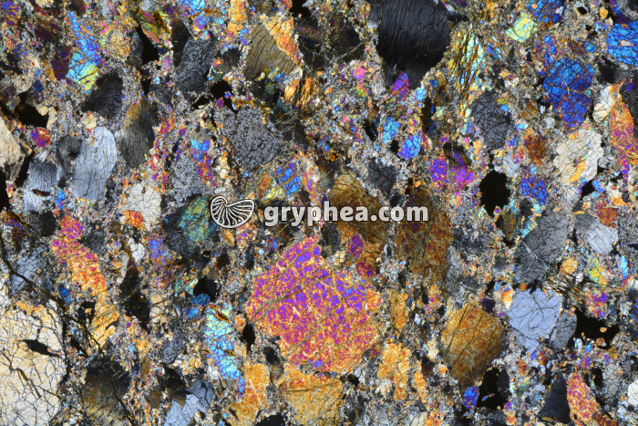 Péridotite serpentinisée LPA x3,5 - gryphea.com